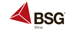 BSG_logo